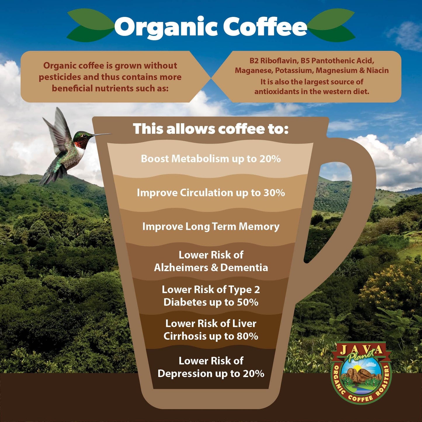 Espresso Organic Blend