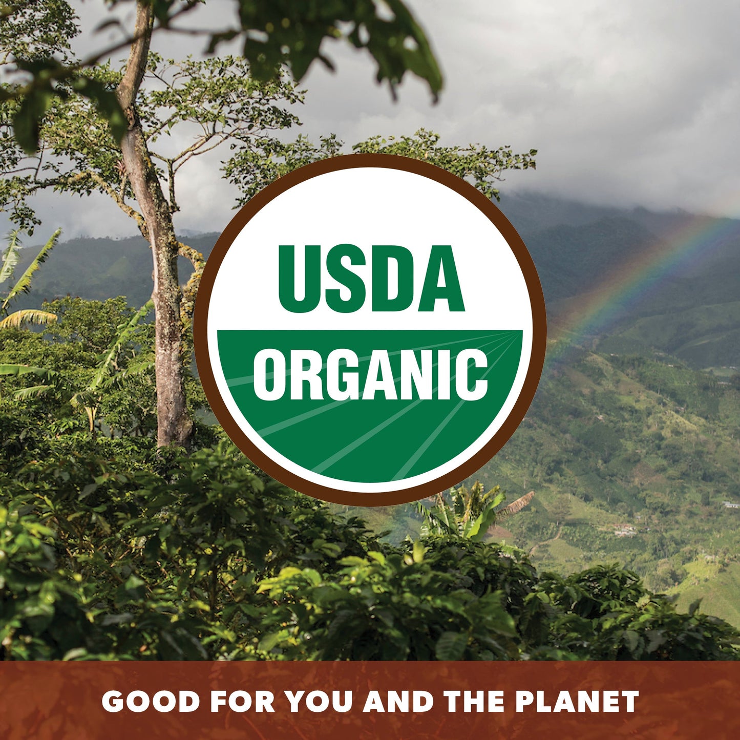 Espresso Organic Blend