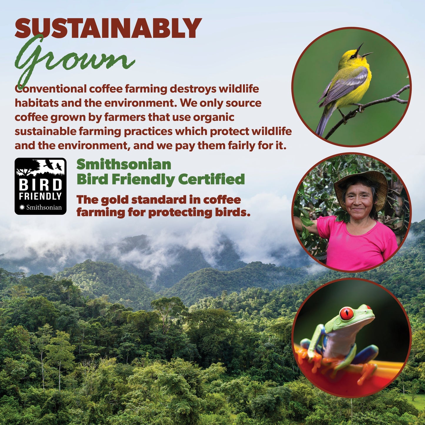 Colombia Organic