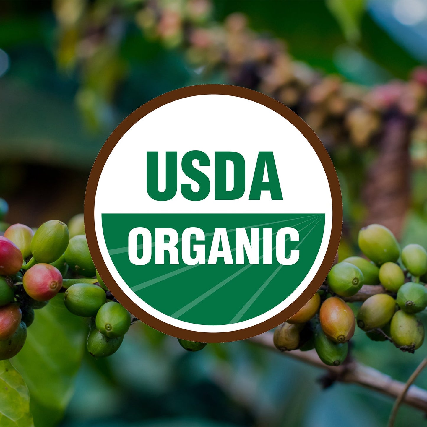 Black Magic Organic Blend